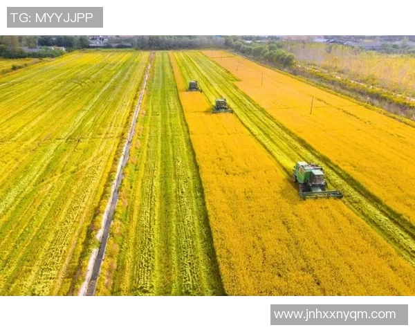 盐城大丰港战队凝心聚力奋勇争先打造沿海新质发展强劲引擎 盐城大丰港战队凝心聚力奋勇争先打造沿海新质发展强劲引擎