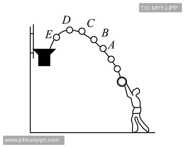 聚焦篮球巨星成长轨迹与赛场拼搏精神及影响力全面深度全景化解读